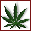 BrilliantCleanTirol